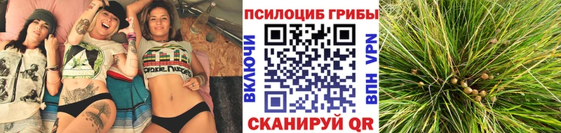 Псилоцибиновые грибы мицелий  Купить закладки  Клин 